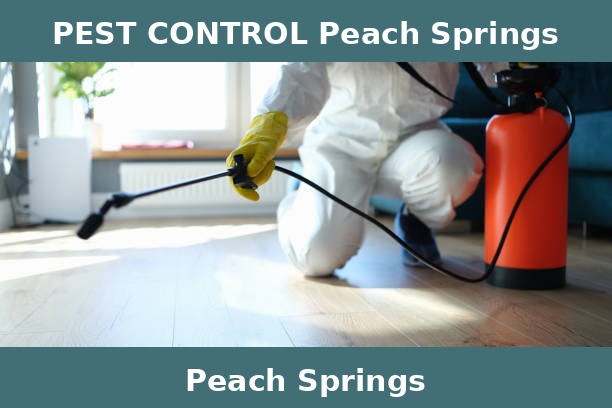PEST CONTROL Peach Springs